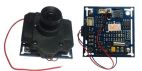 Видеокамера цв. модуль B111 (CMOS 600 твл, 0,1 lux, f=3.6mm, день/ночь)